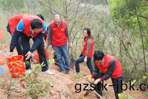 1482897221103085.jpg 15.jpg