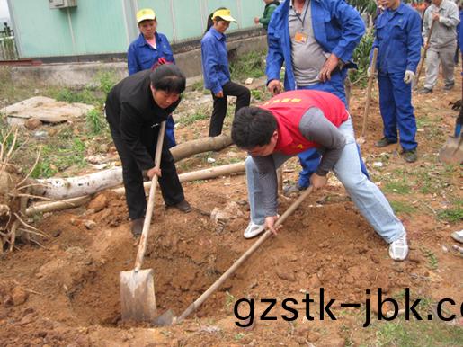 1482897312632418.jpg 15a.JPG