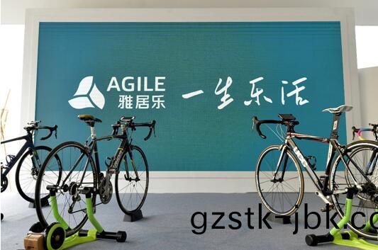 雅(ya)居(ju)樂(le) 雅居樂