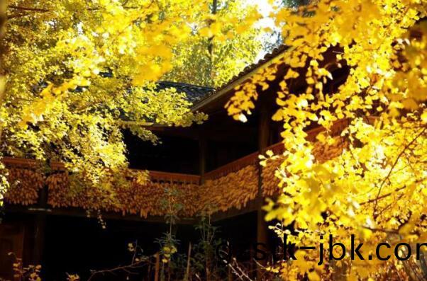 在(zai)最(zui)美的(de)季(ji)節(jie)遇(yu)見妳(ni) 雅居(ju)樂(le)“上(shang)山(shan)下海(hai)”體驗行(xing)