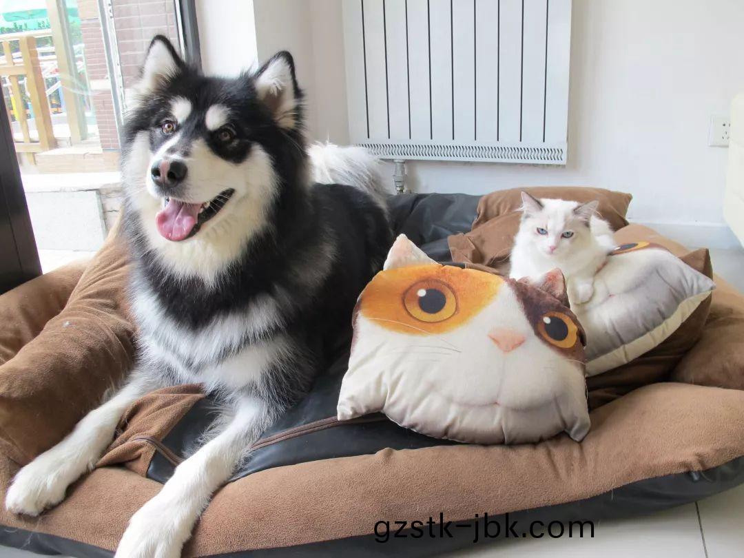 1546929407776435.jpg 1.jpg