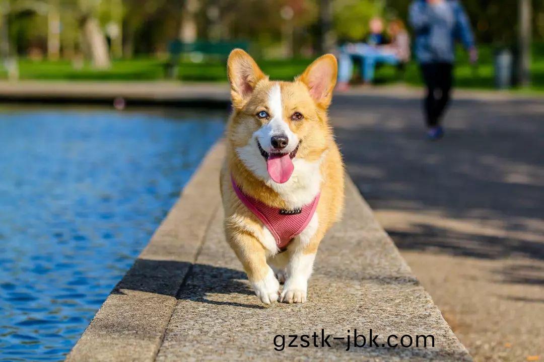 1546929581663130.jpg 4.jpg