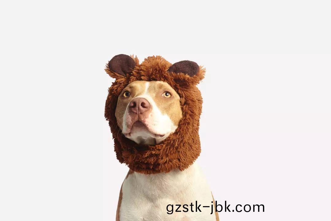 1546930287746083.jpg 121.jpg