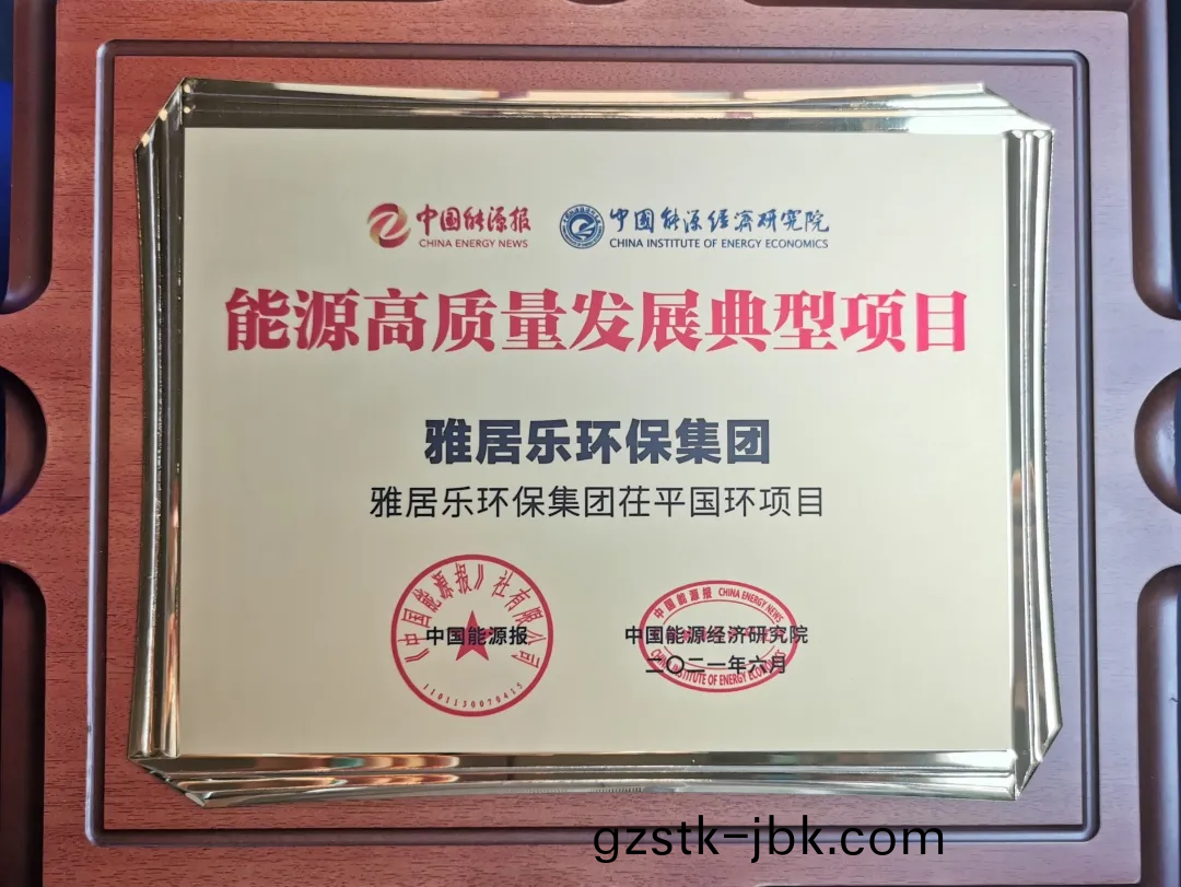 3、茌平國(guo)環能(neng)源獎.png